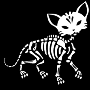 Kat Skelet Sticker